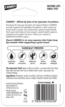 Load image into Gallery viewer, SPECIAL Edition Liptember Charity Tube 10g