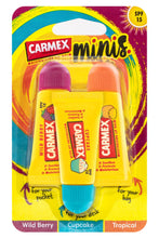 Load image into Gallery viewer, NEW Minis FUN