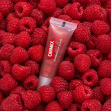 Load image into Gallery viewer, NEW CARMEX Lip Gloss Shimmer - RASPBERRY 10g